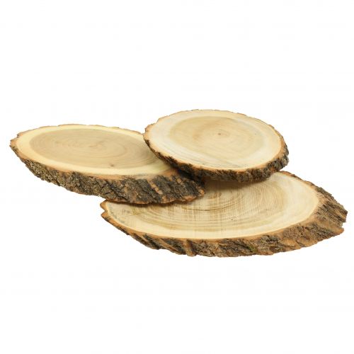 Floristik24 Disques en bois ovales naturel 20cm - 23cm 3 pcs