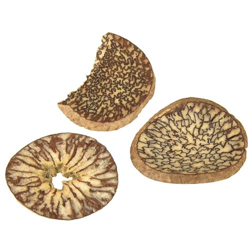 Article Disques décoratifs en bois de noix de bétel, tranches d&#39;arec 1-3,5 cm 300 g