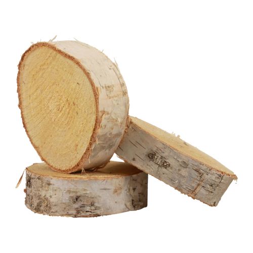 Floristik24 Disques en bois décoratifs en bois de bouleau écorce naturelle Ø7-9cm 18 pièces