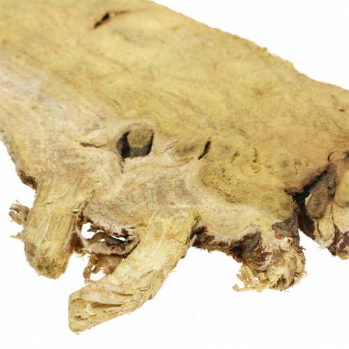 Floristik24 Disques en bois déco nature 1kg