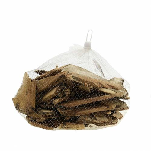 Floristik24 Disques en bois déco nature 1kg