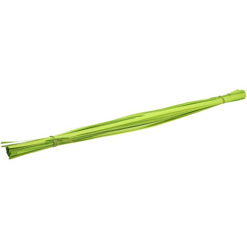 Floristik24 Bandes de bois vert printemps 95cm - 100cm 50 pcs