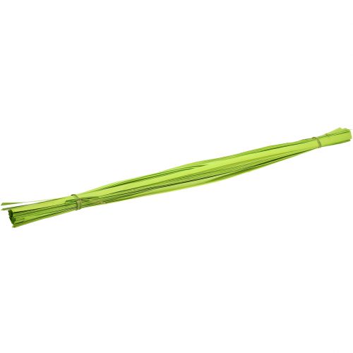 Floristik24 Sangles de bois vert printemps 95 - 100 cm 50 p.