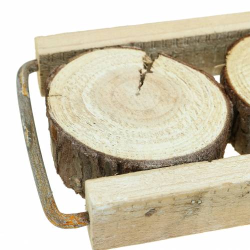 Floristik24 Plateau décoratif en bois avec des tranches d'arbre 34cm x 12cm H3cm