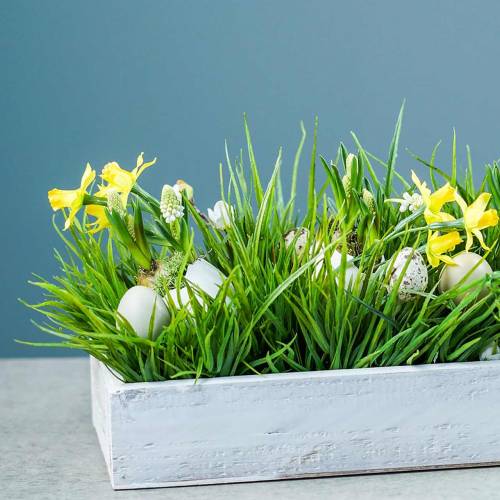 Floristik24 Plateau en bois Shabby Chic rectangulaire blanc 37,5 cm x 14,5 cm H6,3 cm