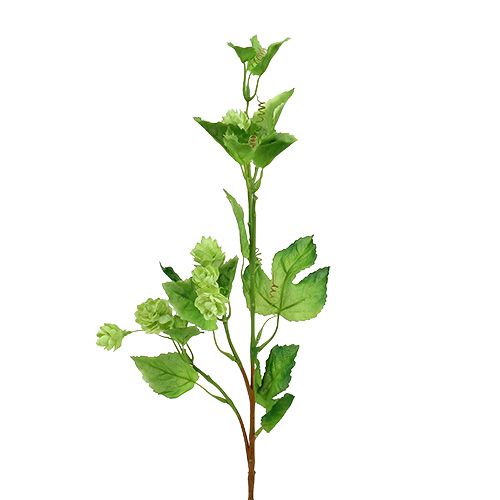 Floristik24 Branche de houblon 70cm vert 2pcs Plante artificielle comme la vraie !