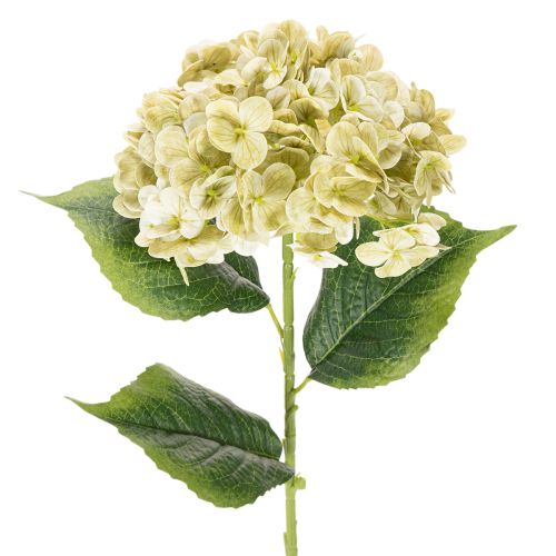Hortensia artificielle avec tige longue et feuilles 60 cm crème-vert