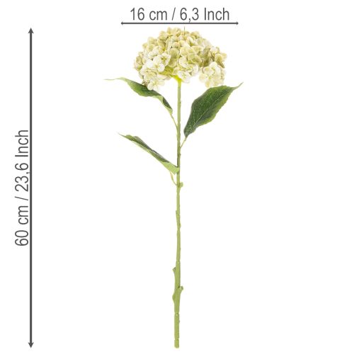 Hortensia artificielle avec tige longue et feuilles 60 cm crème-vert | Floristik24.fr