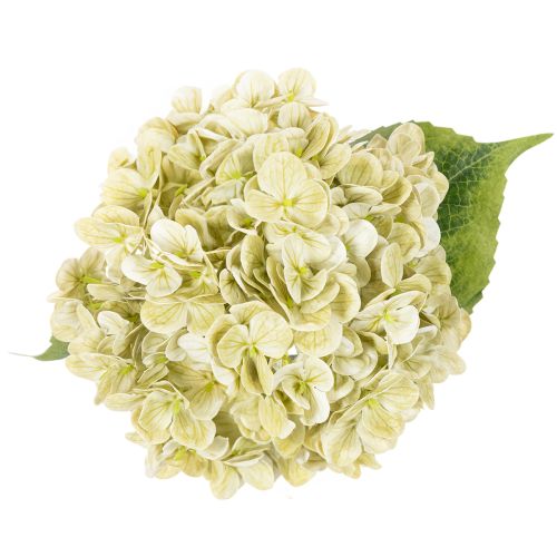 Hortensia artificielle avec tige longue et feuilles 60 cm crème-vert | Floristik24.fr