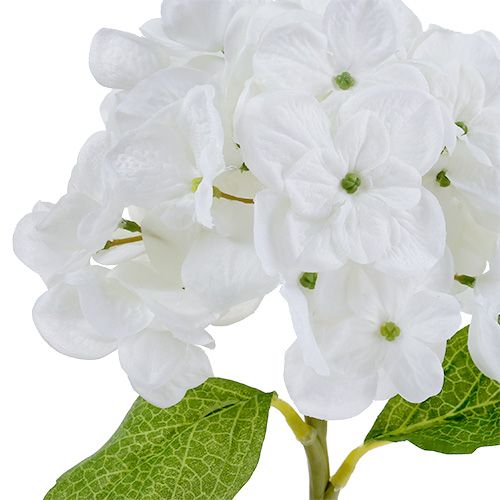 Hortensia 35cm blanc