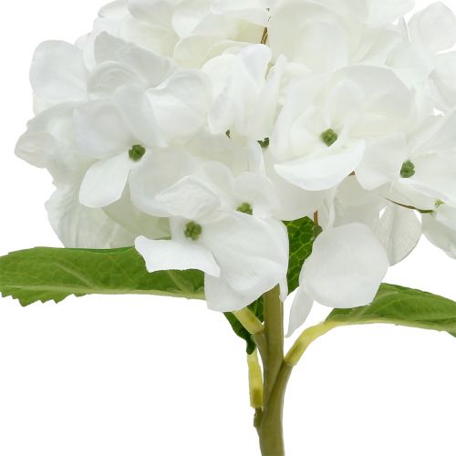 Floristik24 Hortensia déco blanc 36cm