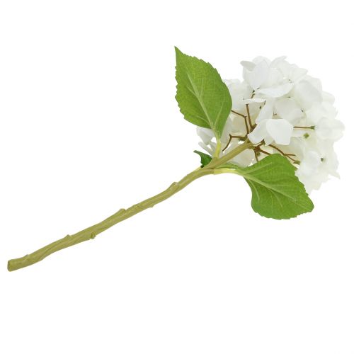 Floristik24 Hortensia déco blanc 36cm