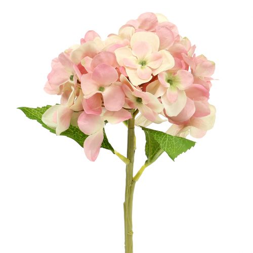 Floristik24 Hortensia rose, crème 36 cm