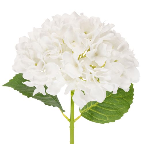 Hortensia artificielle blanche sur tige longue 48 cm en plastique acheter | Floristik24.fr