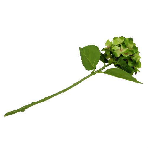 Floristik24 Hortensia vert artificiel pour la décoration L54cm