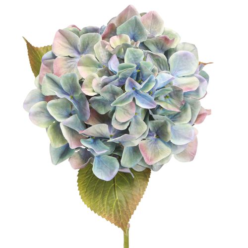 Floristik24 Hortensia Fleur Artificielle Bleu Violet Ø18cm L69cm 2pcs