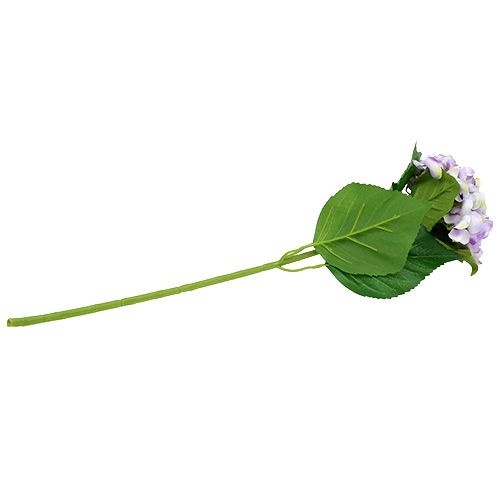 Floristik24 Hortensia violet-blanc 60cm
