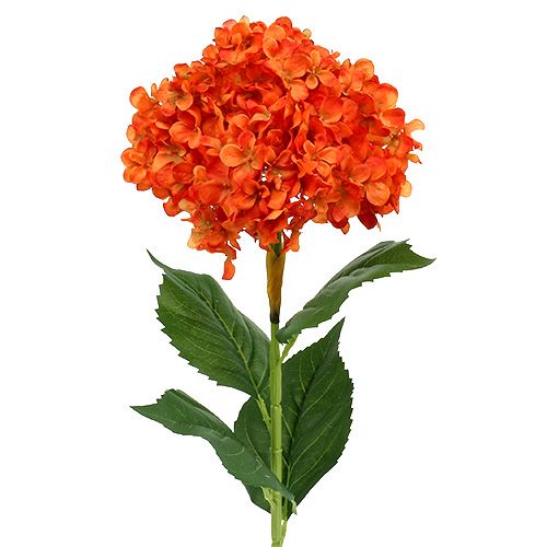 Floristik24 Hortensia orange 80 cm 1 p.