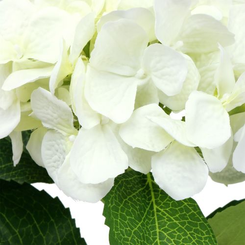 Article Hortensia blanc L. 54 cm 1 p.