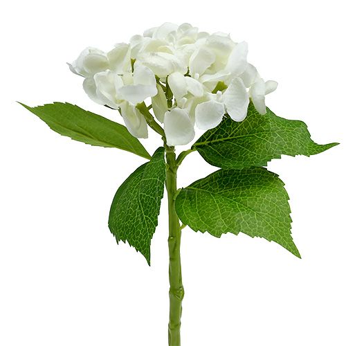 Hortensia 33 cm blanc 1 p.