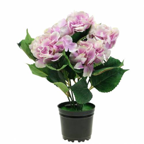 Floristik24 Fleurs d&#39;hortensia en soie dans un pot lilas 35cm