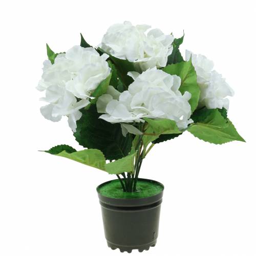 Floristik24 Hortensia dans un pot de fleur Artificiel Blanc 35cm
