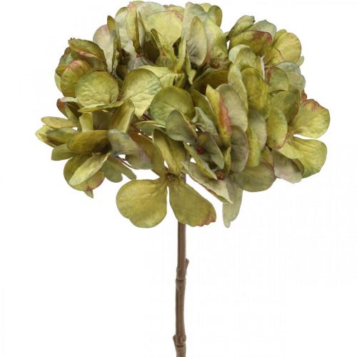 Floristik24 Hortensia artificiel vert fleur artificielle 64cm