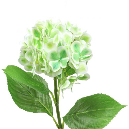 Floristik24 Hortensia artificiel vert, blanc 68cm