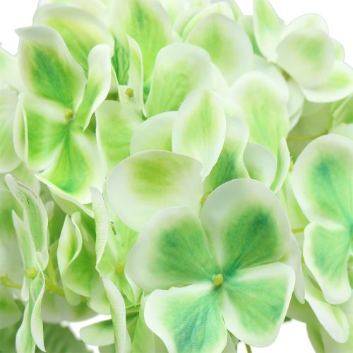 Article Hortensia artificiel vert, blanc 68cm