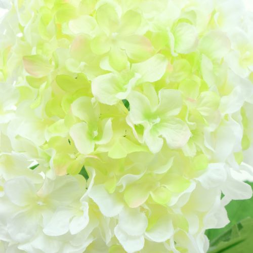 Floristik24 Hortensia blanc 80 cm