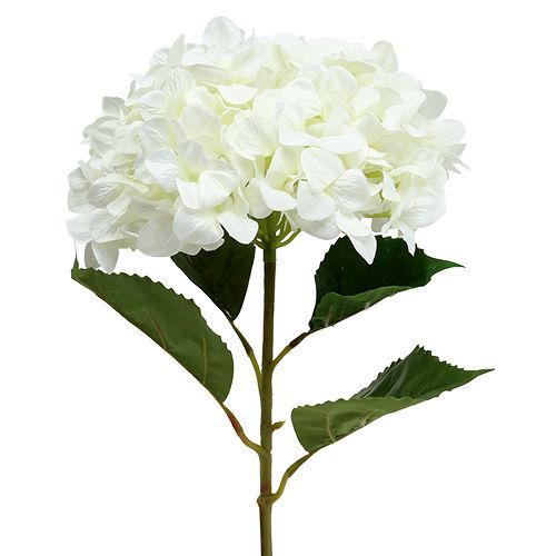 Hortensia géant blanc Ø 30 cm L. 113 cm