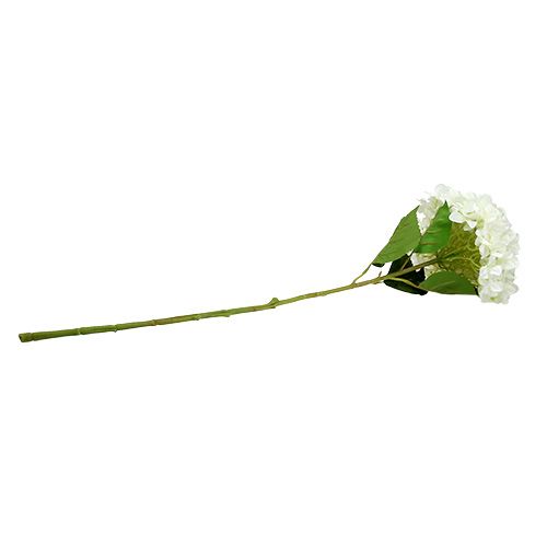 Floristik24 Hortensia Maxi Blanc Ø30cm L113cm