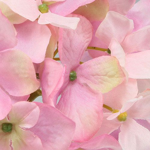 Floristik24 Hortensia rose 68 cm
