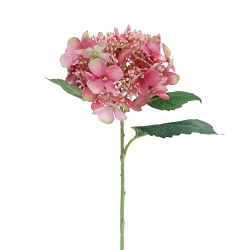 Article Hortensia fleur de jardin artificielle rose et verte avec bourgeons 52cm