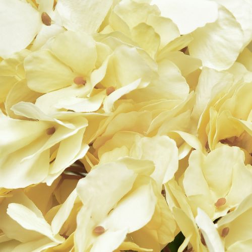 Article Bouquet d&#39;hortensia fleurs artificielles jaune 5 fleurs 48cm
