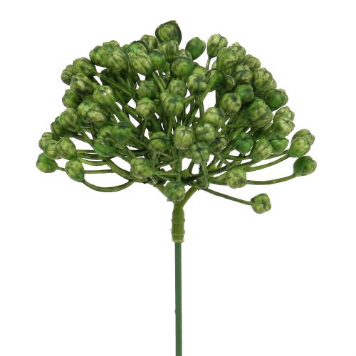 Article Pic à bourgeons d&#39;hortensia 22cm vert 12 pcs