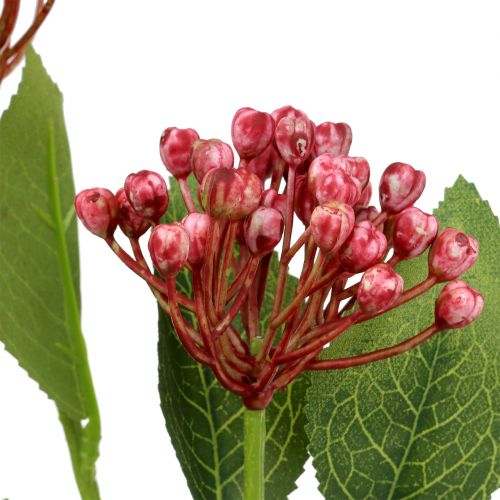 Floristik24 Branche de bourgeon d&#39;hortensia 55cm rose 6pcs