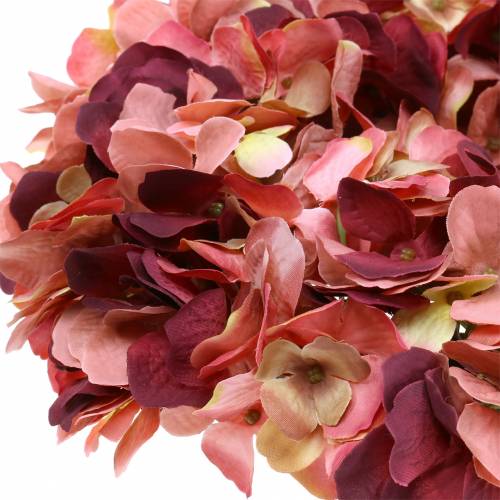 Floristik24 Couronne d'hortensia Bourgogne Ø30cm