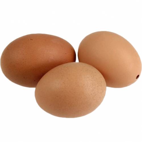 Floristik24 Oeufs de poulet brun 10pcs