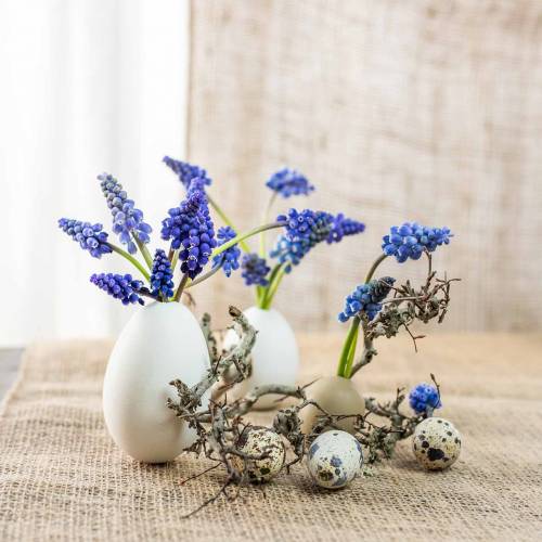 Floristik24 Oeufs de poule blancs 10 pcs