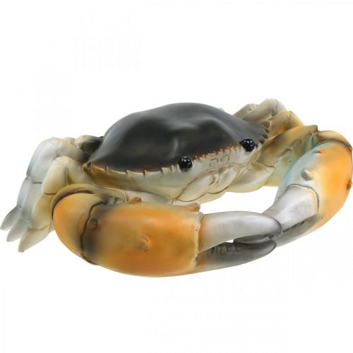 Créature marine, crabe de plage, décoration maritime brun  orangé 31×25cm-828422