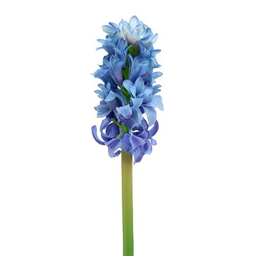 Floristik24 Jacinthe artificielle bleu, blanc 31cm 3pcs