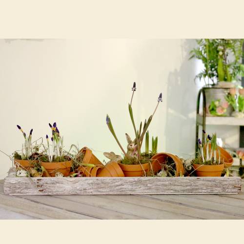 Article Pot de fleur en argile Ø5cm haut 4cm 10pcs