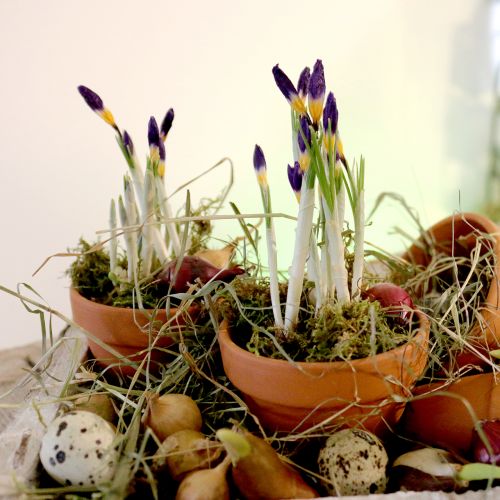 Article Pot de fleurs en terre cuite Ø9cm hauteur 8cm 10pcs