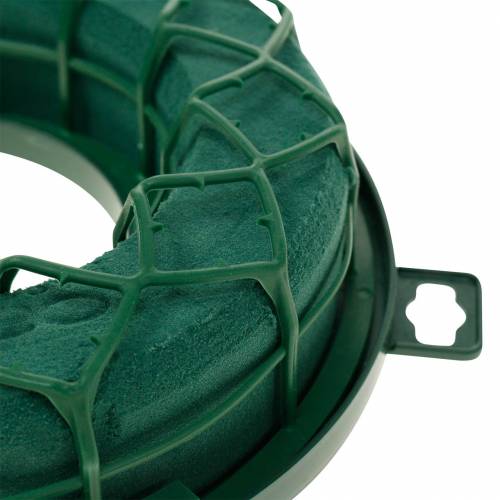 Article OASIS® IDEAL Anneau Universel Couronne Florale en Mousse Vert H4cm Ø18,5cm 5 pcs