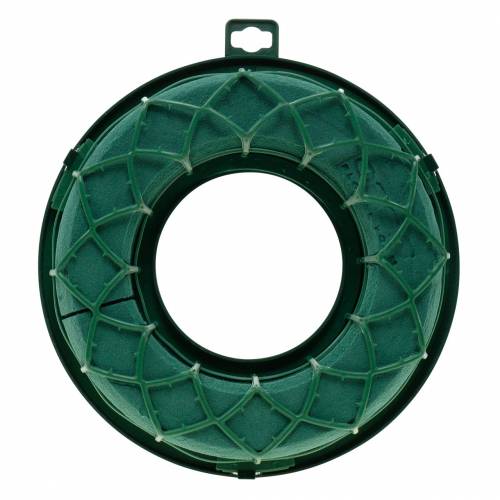 Article OASIS® IDEAL Anneau Universel Couronne Florale en Mousse Vert H4cm Ø18,5cm 5 pcs