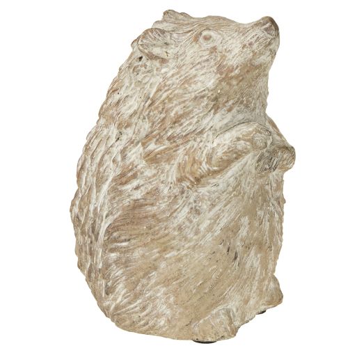 Floristik24 Figurine décorative d&#39;automne en forme de hérisson en pierre moulée blanche lavée H14,5 cm