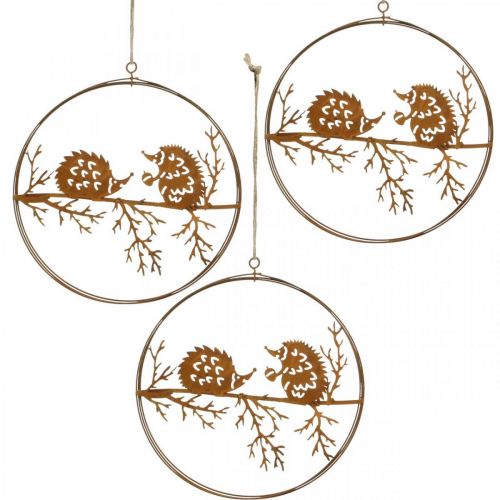 Floristik24 Pendentif en métal, hérisson sur branche, décoration automne, anneau décoratif, cadre en acier inoxydable Ø15.5cm 3pcs