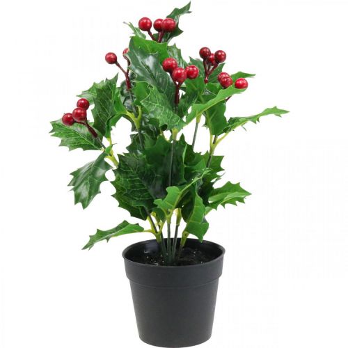 Floristik24 Houx en pot plantes artificielles Ilex artificiel 26cm