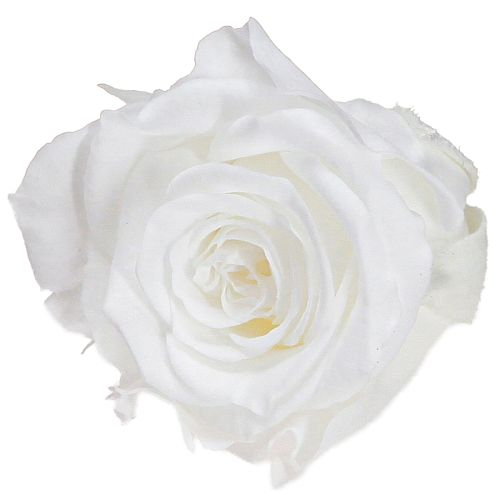 Infinity Roses Véritables Têtes de Roses Mini Roses Blanches Ø3cm 16 pcs